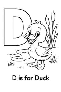 D is for Duck