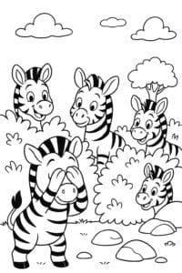A group of zebra friends playing hide-and-seek behind bushes and rocks on a bright day.