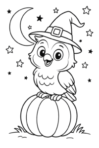 A cheerful owl wearing a tiny witch’s hat, perched on a pumpkin under a starry Halloween sky.